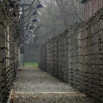 Full-Day Tour of Auschwitz-Birkenau and Salt Mine from Krakow - Final Thoughts on Value and Experience