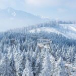 Full-Day Tour of Zakopane and Slovakia Treetop from Krakow - Final Thoughts: Who Should Take This Tour?