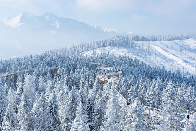 Full-Day Tour of Zakopane and Slovakia Treetop from Krakow - Final Thoughts: Who Should Take This Tour?