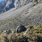 Full-Day Tour to Arthur Pass and Castle Hill with Scenic Views - Who Should Consider This Tour?