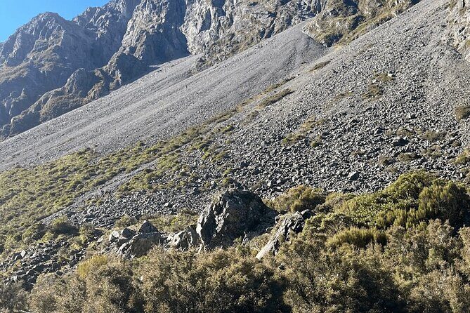 Full-Day Tour to Arthur Pass and Castle Hill with Scenic Views - Who Should Consider This Tour?