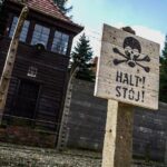 Full day tour to Auschwitz-Birkenau and Salt Mine with a local guide from Krakow - What the Tour Means for You