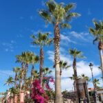 Full Day Tour to Balandra Beach, Todos Santos and La Paz - Practical Details and Tips