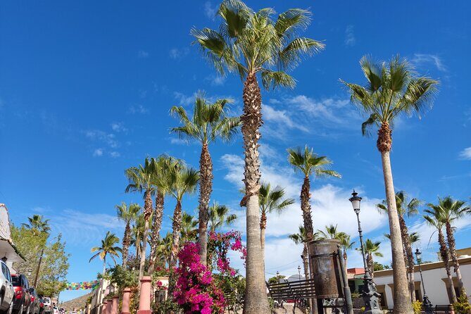 Full Day Tour to Balandra Beach, Todos Santos and La Paz