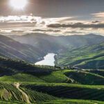 Full day Tour to Douro Valley from Porto - A Closer Look at the Tour Experience