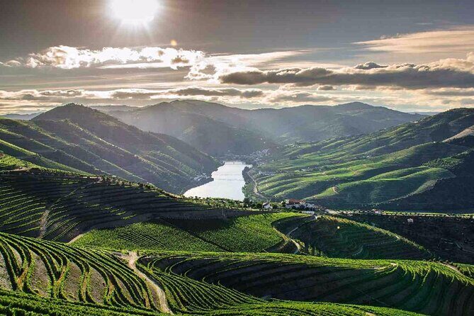 Full day Tour to Douro Valley from Porto - A Closer Look at the Tour Experience