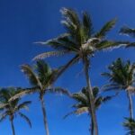 Full Day Tour to Isla Contoy and Isla Mujeres from Cancun - Authentic Experiences and Traveler Insights