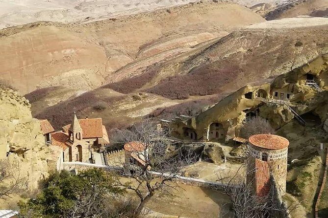 Full day tour to Kakheti: David Gareja and Signagi Town - Deep Dive into the Experience