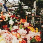 Full-Day Trip From Amsterdam to Keukenhof, Zaanse Schans + Cruise - Practical Details and Tips