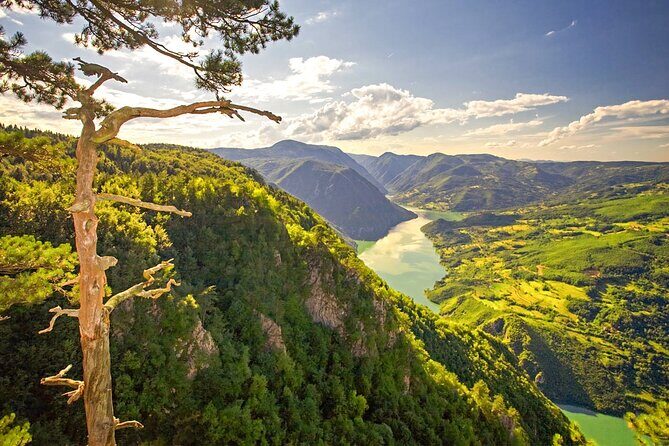 Full Day Trip from Belgrade: The Drina River House And Tara Park Tour - Authentic Encounters and What Travelers Say