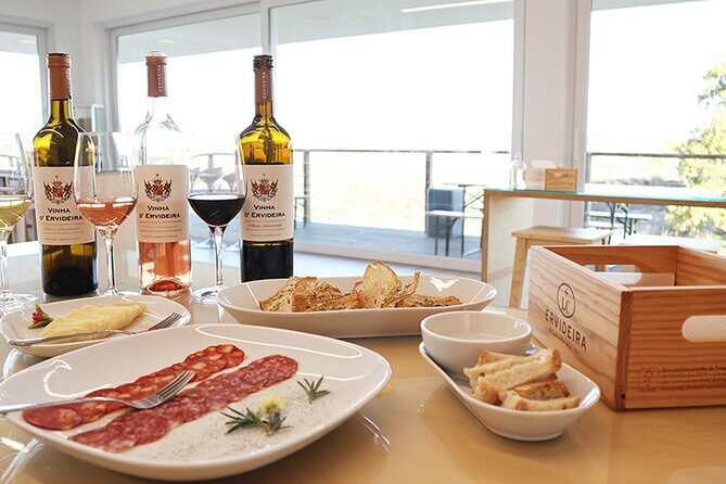 Full-day Trip in Evora, Winery & Cork Factory Private Transport - A Deep Dive into the Day: What to Expect at Each Stop