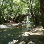 Full Day Troodos Guided Safari Tour with Pick Up - What the Reviews Say