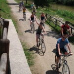 Full-Day Tuscan Countryside Bike Tour - What the Reviews Tell Us