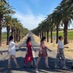 Full Day VIP Private Tour (Cruise Passengers Only) - The Value of the Experience