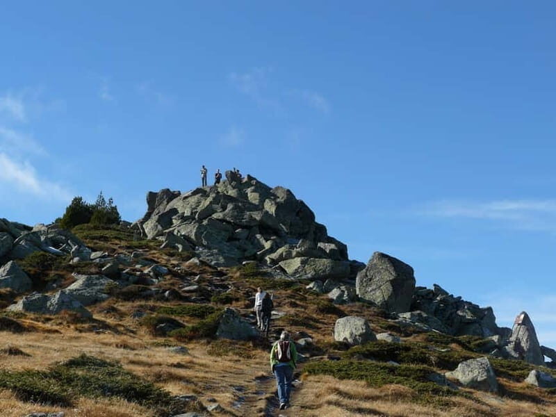 Full-Day Vitosha and Cherni Vruh Peak Hiking Tour - A Deep Dive into the Vitosha Hiking Experience