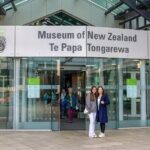 Full Day Wellington Tour - Including maoritanga - The Value for Your Money