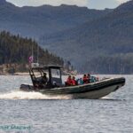 Full Day Whale Watching Campbell River - Who Should Take This Tour?