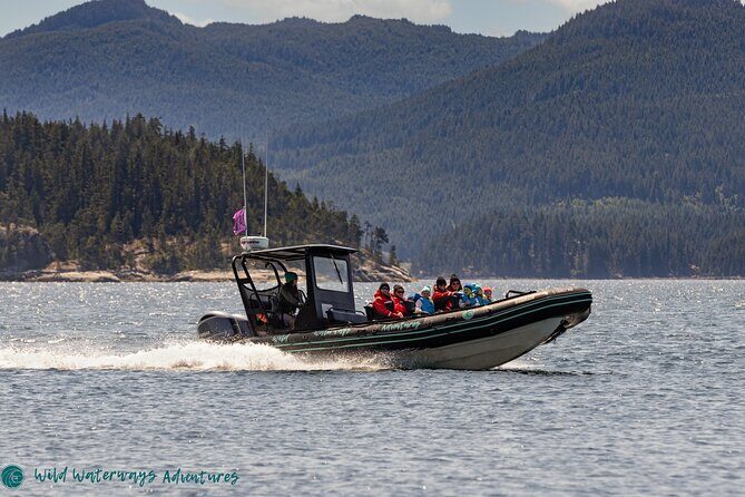 Full Day Whale Watching Campbell River - Who Should Take This Tour?