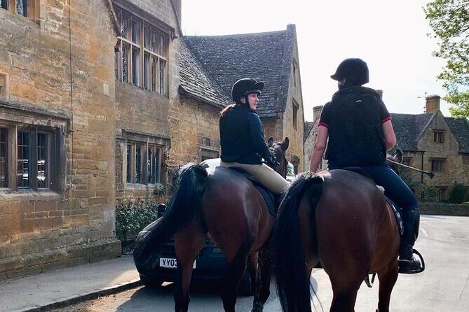 Full-Day Windsor Castle & Cotswolds Driving Tour - Who Is This Tour Best For?