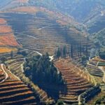 Full Day, Wine Tasting, River Cruise and Lunch from Porto - FAQ about the Full Day Douro Tour