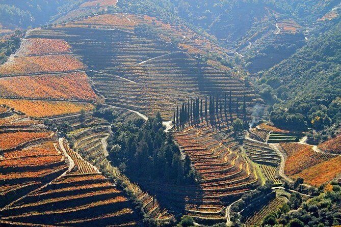 Full Day, Wine Tasting, River Cruise and Lunch from Porto - FAQ about the Full Day Douro Tour