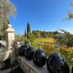 Full-Day Wine Tour in Bellet & Saint-Paul de Vence From Nice - The Value of This Tour