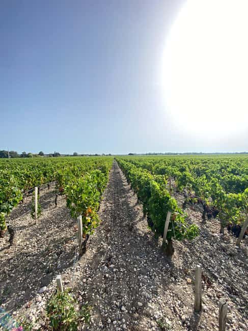 Full Day Wine tour in saint emilion & Margaux - Who Should Book This Tour?