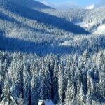 Full day Zakopane tour from Krakow - Who Should Consider This Tour?