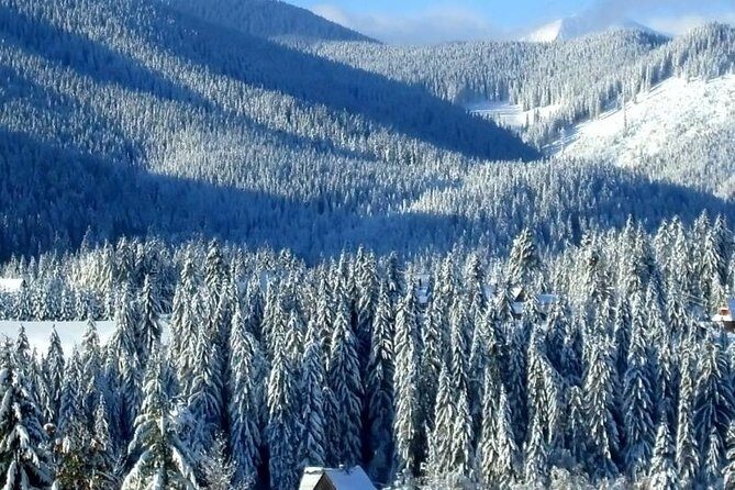 Full day Zakopane tour from Krakow - Who Should Consider This Tour?