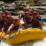 Full Ocoee River Whitewater Trip with Riverside Lunch - What Makes This Tour Stand Out?