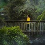 Full Waimangu Experience - Walk & Cruise - Why this experience is worth it