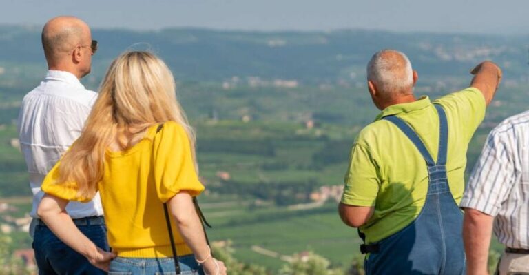 Fumane: Wine Tasting Experience in Valpolicella Valley - A Closer Look at the Experience