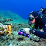 Fun Diving at Amorgos Diving Center - What’s in Store at Amorgos Diving Center?