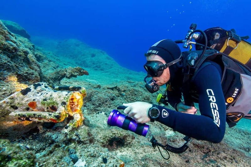Fun Diving at Amorgos Diving Center - What’s in Store at Amorgos Diving Center?