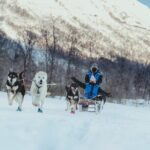 Fun & Easy Dog Sledding Adventure - Noon Tour - Price and Value: Is It Worth It?