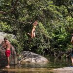 Fun, Falls and Forests Day Trip from Cairns - The Sum Up