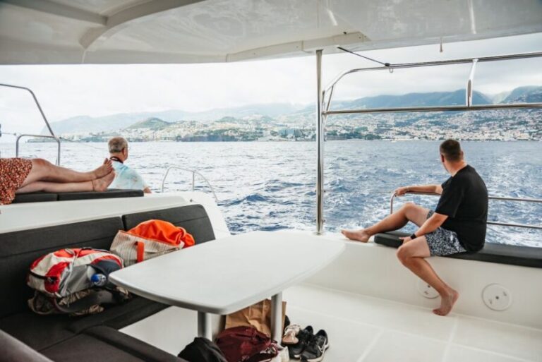 Funchal Bay: Dolphin & Whale Watch Luxury Catamaran Cruise - An Authentic Marine Adventure in Madeiras Waters