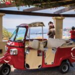 Funchal: Best Viewpoints Guided Tuk Tuk Tour - Who Should Consider This Tour?