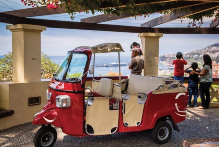Funchal: Best Viewpoints Guided Tuk Tuk Tour - Who Should Consider This Tour?