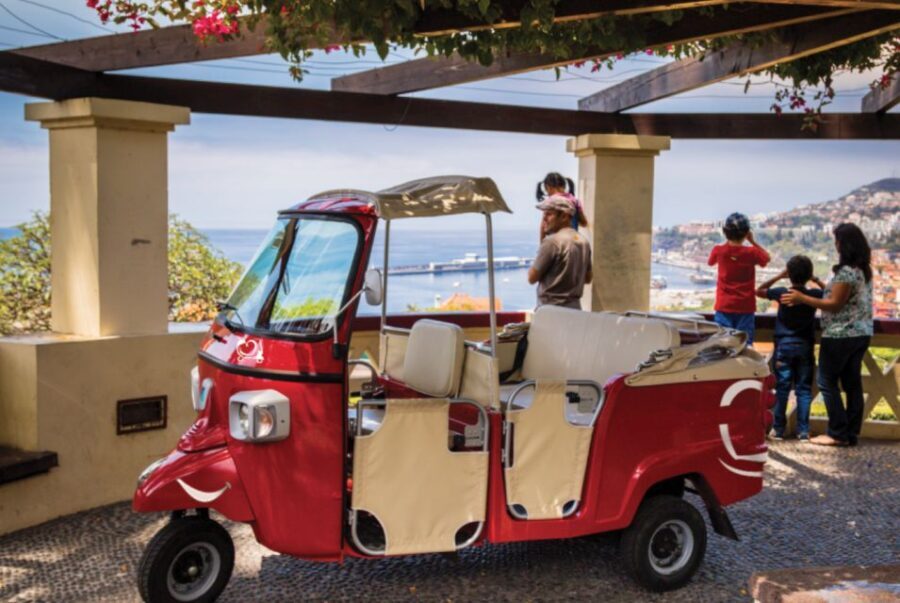 Funchal: Best Viewpoints Guided Tuk Tuk Tour - Who Should Consider This Tour?