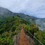 Funchal: Bica da Cana to Encumeada Guided Hike with Pickup - The Value of This Experience