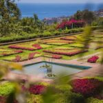 Funchal: Botanical Garden and Old Town Private Tuk-Tuk Tour - Who Will Love This Tour?
