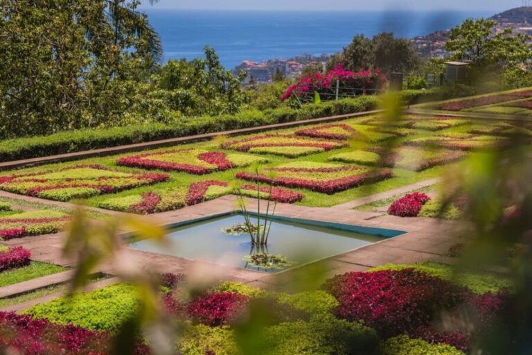 Funchal: Botanical Garden and Old Town Private Tuk-Tuk Tour - Who Will Love This Tour?