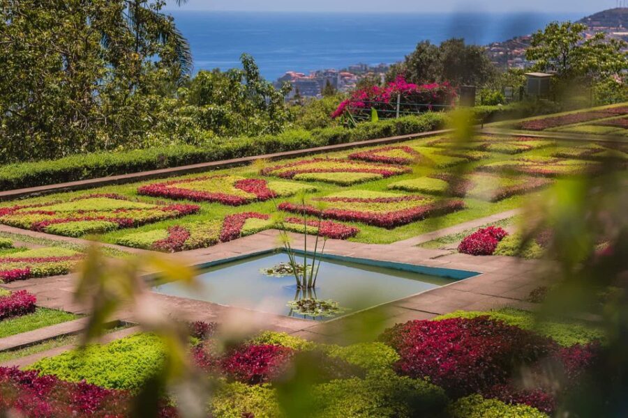 Funchal: Botanical Garden and Old Town Private Tuk-Tuk Tour - Who Will Love This Tour?