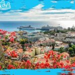 Funchal City Historical Tuk-Tuk Private Tour by MadTuk - The Sum Up: Is This Tour Right for You?