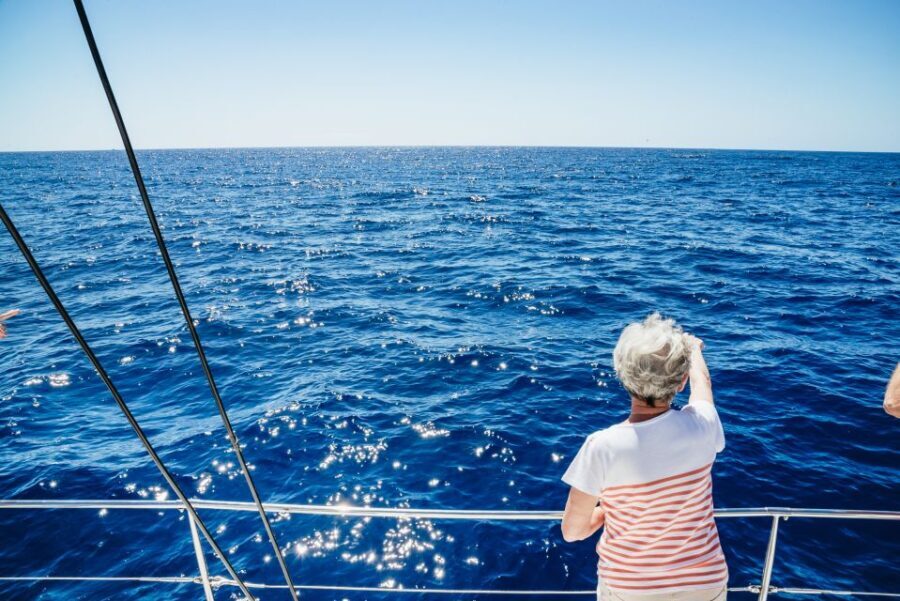 Funchal: Dolphin and Whale Watching by Luxury Catamaran - Why This Tour Works