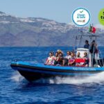 Funchal: Dolphin and Whale Watching Cruise - An In-Depth Look at the Funchal Marine Wildlife Cruise