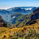 Funchal: East Madeira Island Guided Tour & Laurissilva Walk - The Experience in Detail