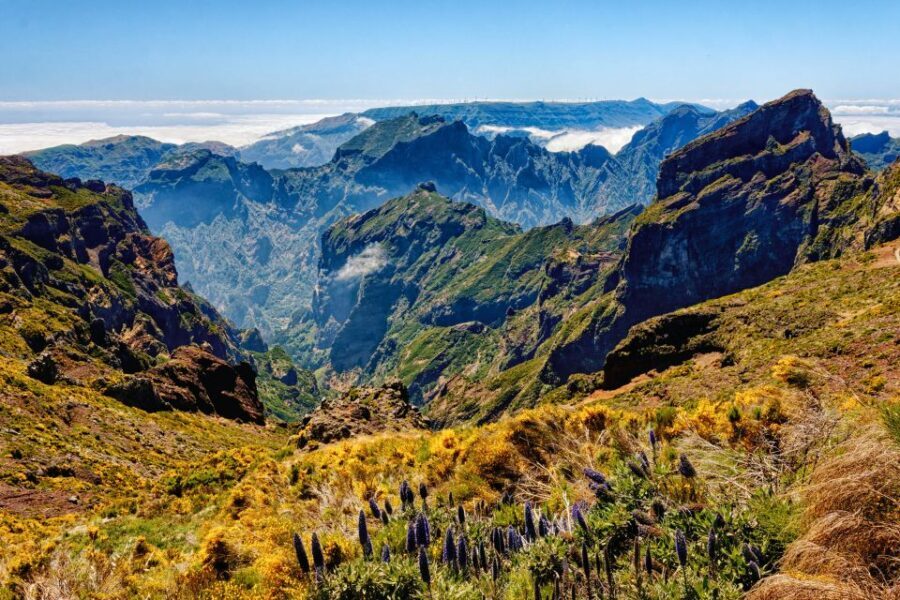 Funchal: East Madeira Island Guided Tour & Laurissilva Walk - The Experience in Detail