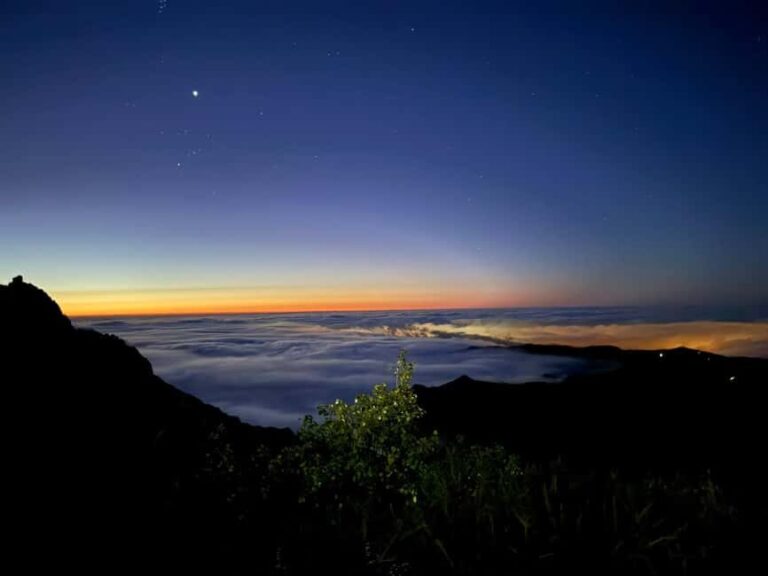 Funchal: Guided Sunrise Walk & Stairway to Heaven - Who Will Love This Tour?
